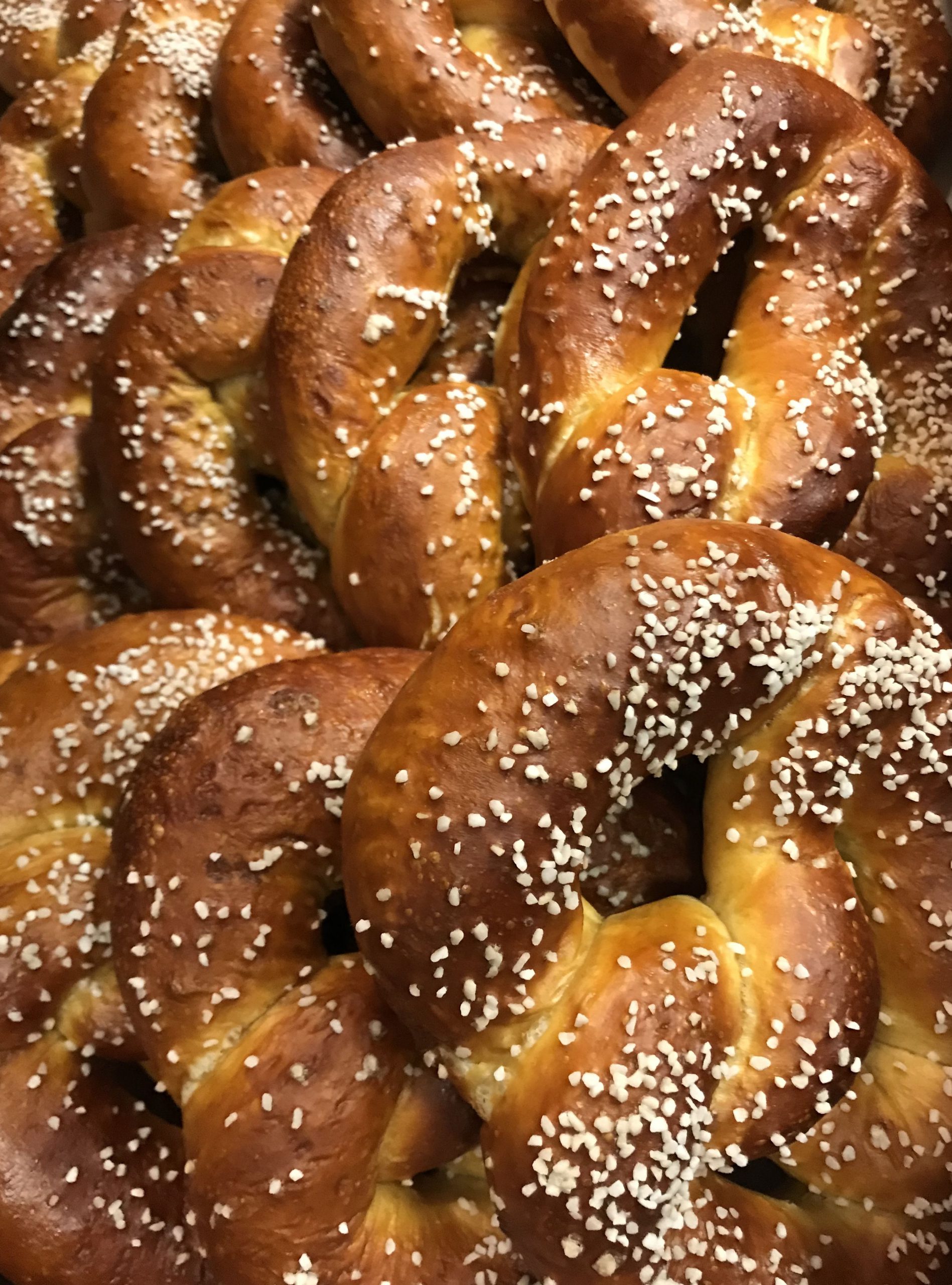 Quintopia Brewing Craft Brewery & Taproom Located in Quincy, CA