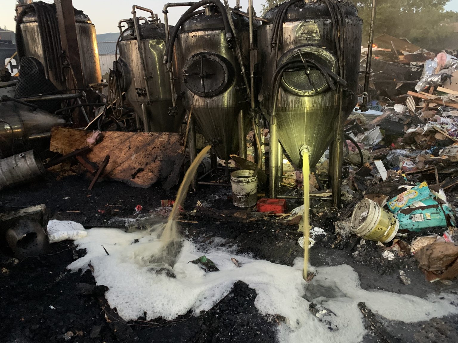 Quintopia Brewing Craft Brewery & Taproom Located in Quincy, CA