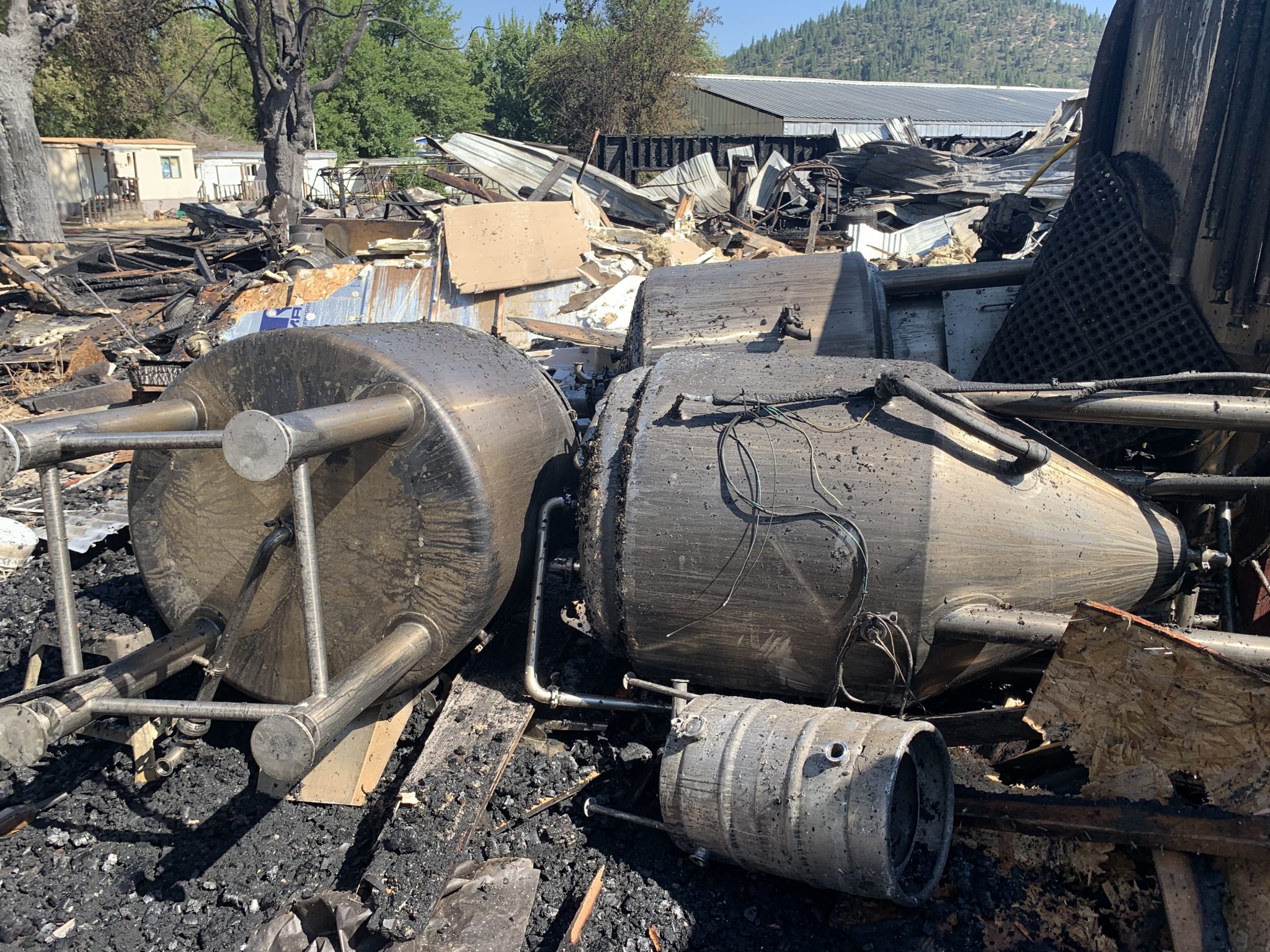 Quintopia Brewing Craft Brewery & Taproom Located in Quincy, CA