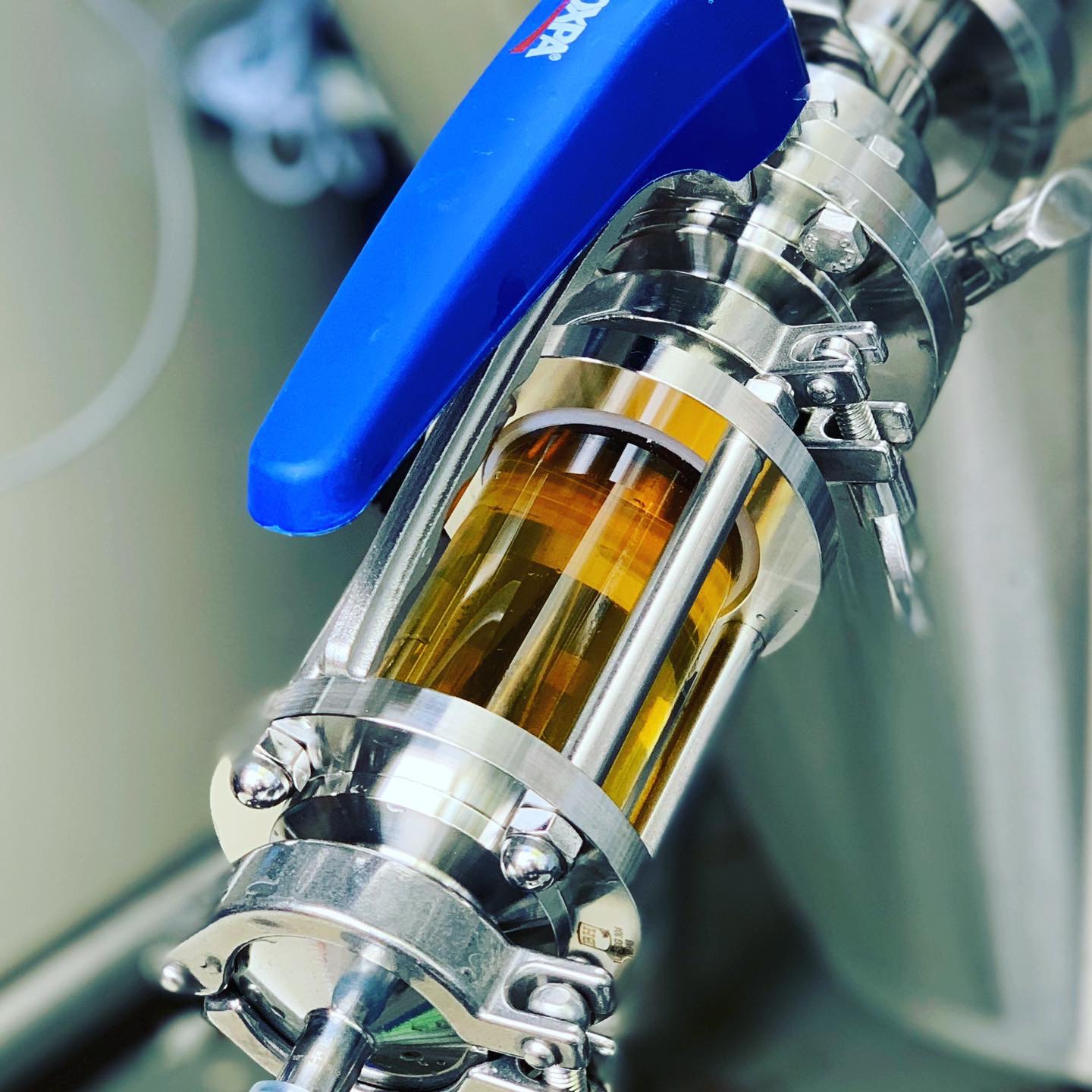 Quintopia Brewing Craft Brewery & Taproom Located in Quincy, CA