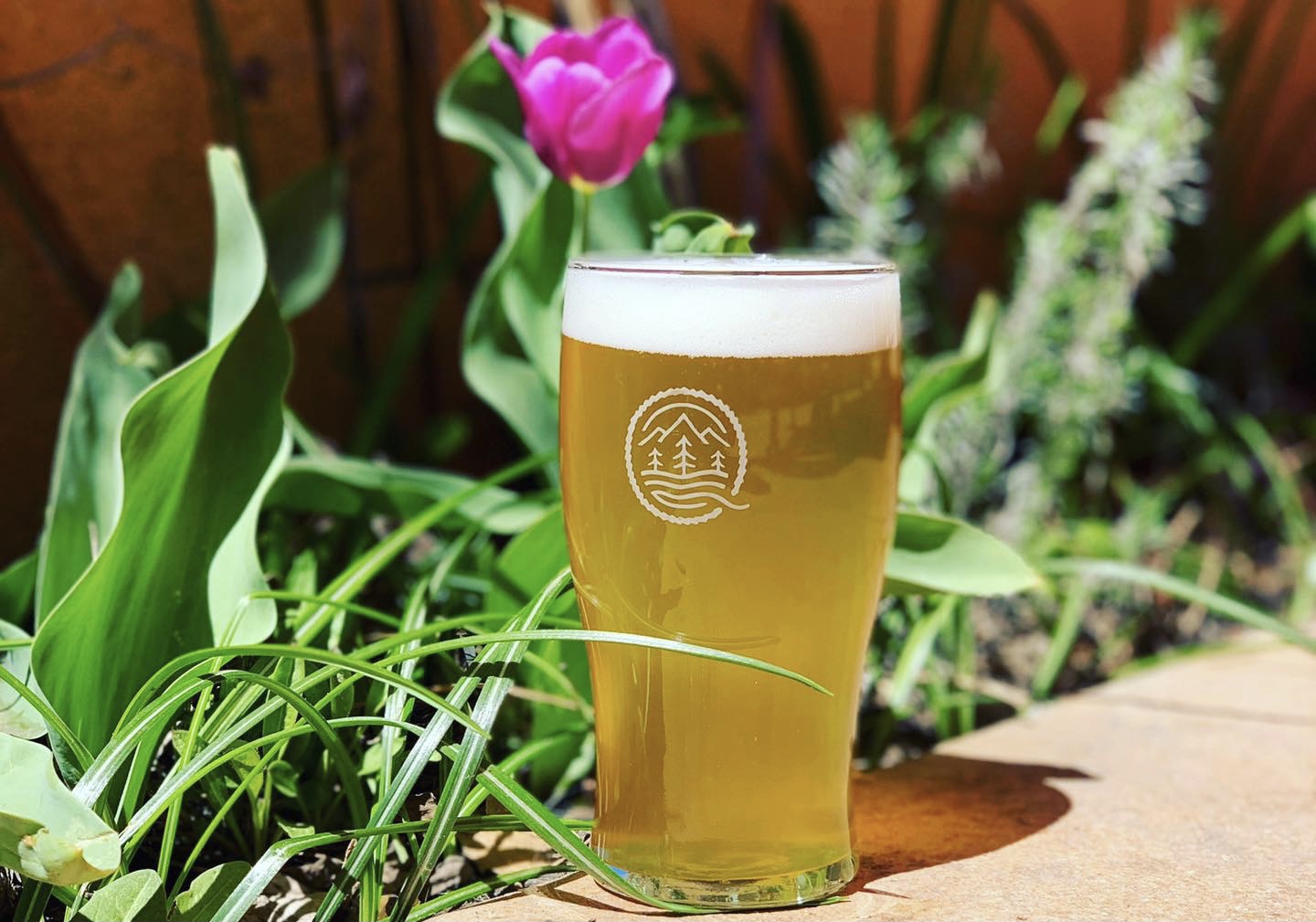 Quintopia Brewing Craft Brewery & Taproom Located in Quincy, CA